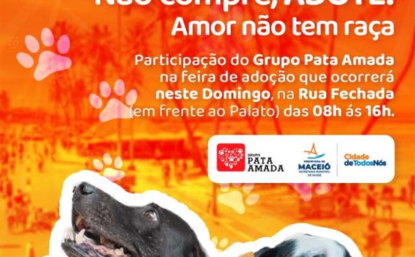 Feira de Adoção de animais volta à Rua Aberta neste domingo (31)