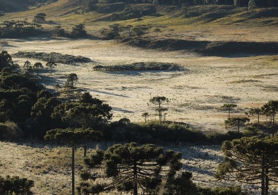 Serra catarinense registra -7,4ºC, menor temperatura do ano no Brasil