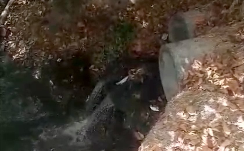 Moradores alertam para descarte irregular no Rio Jacarecica