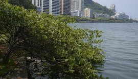 Rio de Janeiro conclui retirada de peixes mortos da Lagoa Rodrigo de Freitas