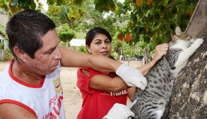 Campanha de vacinação contra a raiva é iniciada em Alagoas