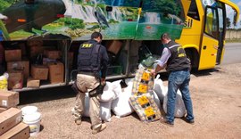 PRF apreende quase 500 kg de mercadorias sem nota fiscal na BR 101