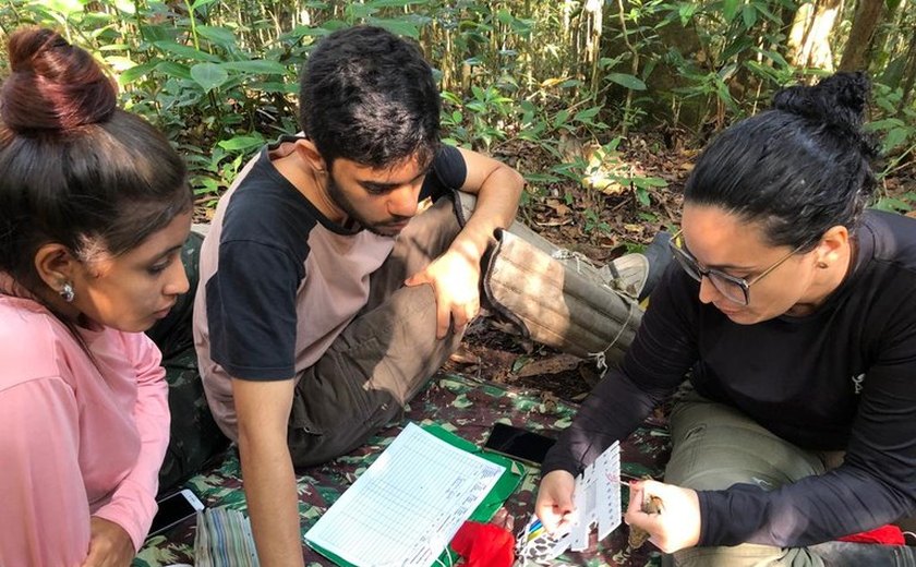 Pesquisadores buscam recuperar população de ave em extinção