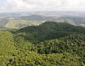 Alagoas tem o menor índice de desmatamento do Nordeste, mostra estudo