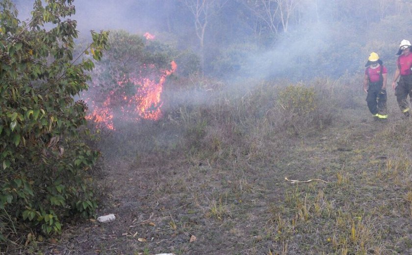 Incêndio destrói cinco hectares de mata no município de União dos Palmares