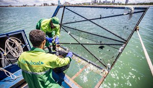 Desenvolvimento Sustentável inicia operação dos Ecoboats na orla marítima da capital