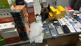 PM apreende mais de 3.000 pedras de crack, 59 celulares e 176 perfumes sem procedência