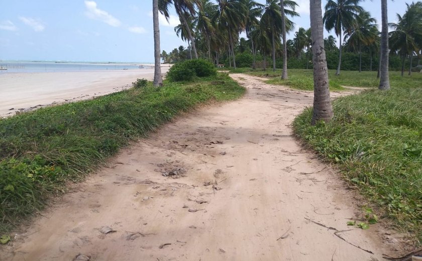 Prefeitura derruba cerca de arame que fechava acesso à praia em São Miguel dos Milagres