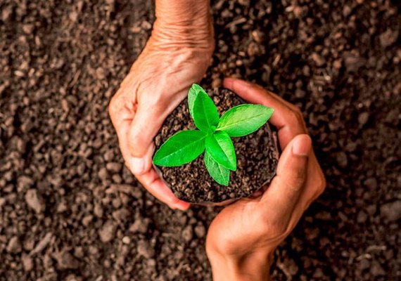 Pindorama participa das comemorações ao Dia Mundial do Meio Ambiente