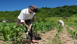 Governo de Alagoas distribuirá kits de irrigação com pequenos produtores