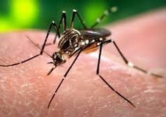 Zika: medo não afasta sonho da maternidade