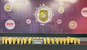 Operação integrada prende duas pessoas e apreende 20 kg de maconha em Rio Largo