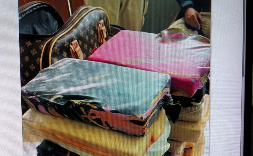 Polícia Civil autua jovem com mais de 15kg de maconha em Alagoas