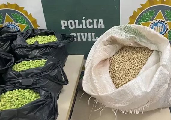 Homem é preso no Rio por tingir de verde feijão fradinho para vender como feijão de corda