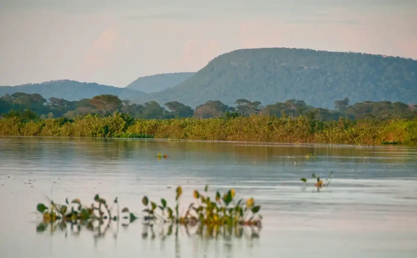 Cerrado brasileiro perdeu 13,9 milhões de hectares de margens de rios