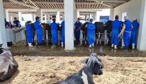 Pequenos produtores rurais participam de curso sobre inseminação artificial na Expo Bacia Leiteira
