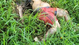 Homem desaparecido há oito dias em Viçosa é encontrado morto em área de mata em Pindoba