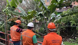 Maceió encerra quinto ano consecutivo sem mortes por chuvas e reforça ações preventivas