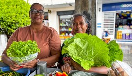 Feiras fortalecem agricultura familiar e celebram protagonismo feminino no campo