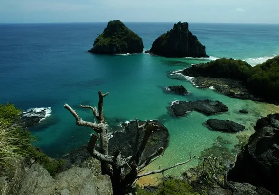 Quase 50% dos turistas usam redes como fonte de informação de viagem