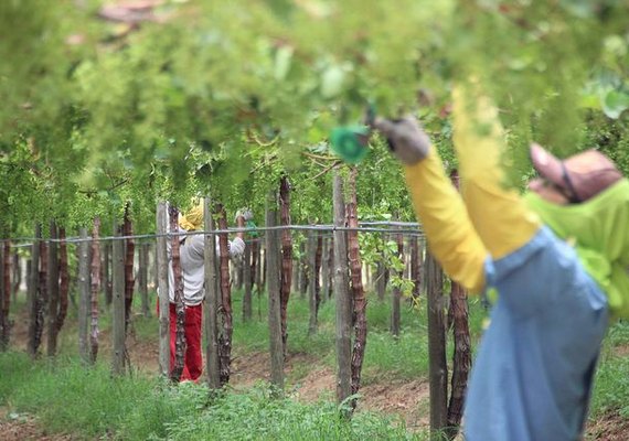 Investimento de R$ 47 mi garante abastecimento humano e produção irrigada