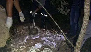 Corpos são achados enterrados lado a lado em mata de Maceió