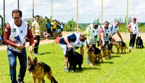 Arapiraca será palco nordestino da 10ª Exposição de Criação de Pastores Alemães