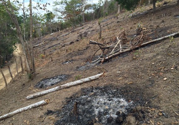 Órgãos do Estado combatem infrações e crimes ambientais na Serra dos Frios