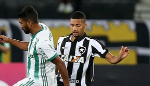 Palmeiras vence o Botafogo e mantém quarto lugar na tabela