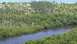 Cinco municípios da Costa dos Corais recebem ações ambientais ligadas à Semana dos Manguezais