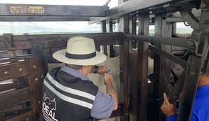 Adeal realiza vacinação assistida de animais contra a febre aftosa em Rio Largo
