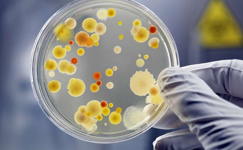 DST pouco comum pode virar superbactéria
