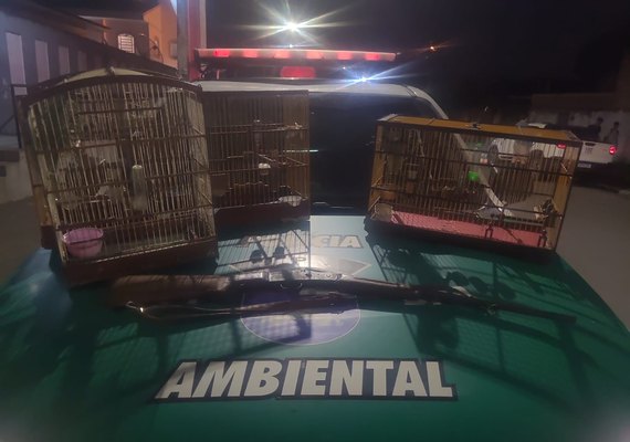 BPA apreende armas e resgata animais silvestres no Agreste e Zona da Mata