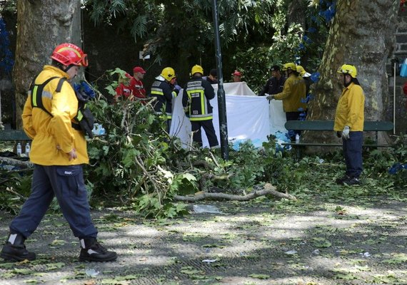 Queda de árvore deixa 12 mortos e 50 feridos em Portugal