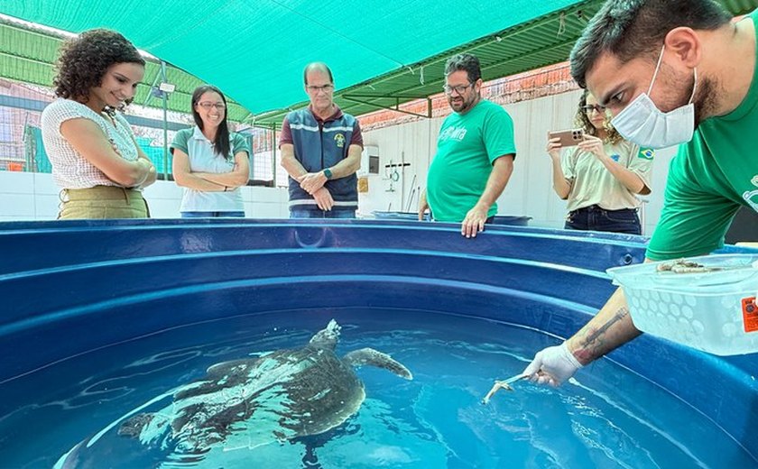 MPF participa de discussão sobre protocolo para atendimento a encalhes de mamíferos marinhos em Alagoas
