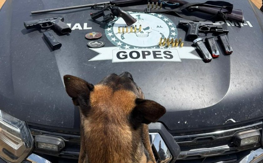 Polícia apreende arsenal de armas de fogo em São Sebastião, no Agreste de Alagoas
