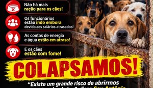 Abrigo São Cão entra em colapso e pede socorro