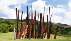 Inhotim (MG) celebra 16 anos como um dos maiores museus a céu aberto do mundo