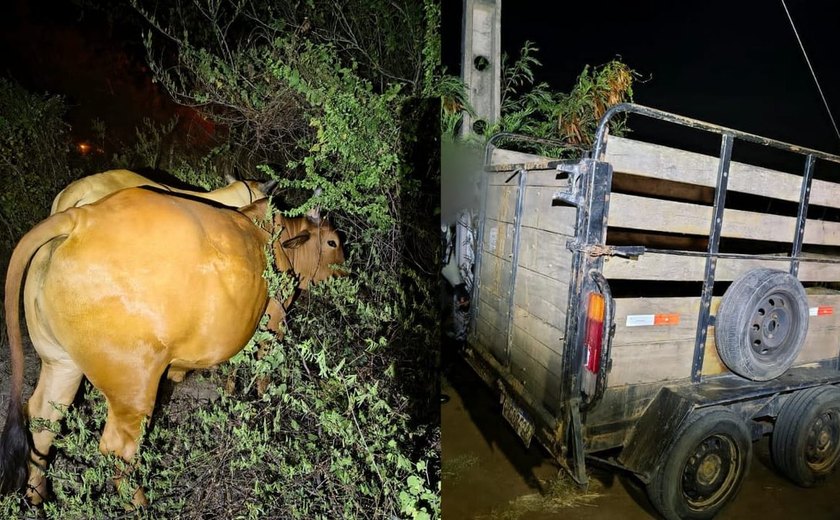 Trio é preso suspeito de integrar quadrilha especializada em furto de gado no Sertão de Alagoas