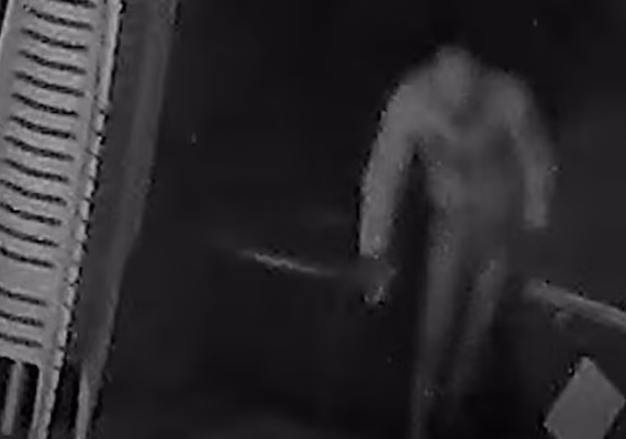 Ladrão vestindo apenas calcinha e blusa furta bebidas em bar na Zona Sul de SP