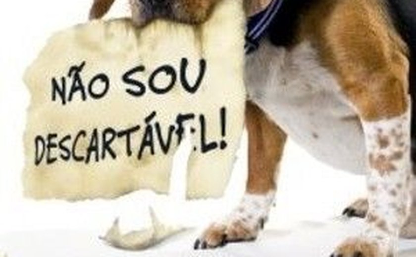 Brasil transporta 6 bilhões de animais sem regulamentação