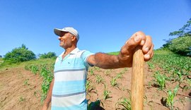 Projeto garante terra, assistência técnica e comercialização em Viçosa