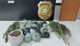 PC apreende 25 quilos de maconha e prende dois homens suspeitos por tráfico de drogas