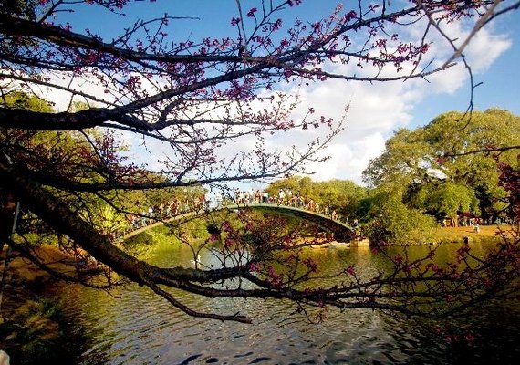 Recém-nascido é encontrado morto no lago do Parque Ibirapuera