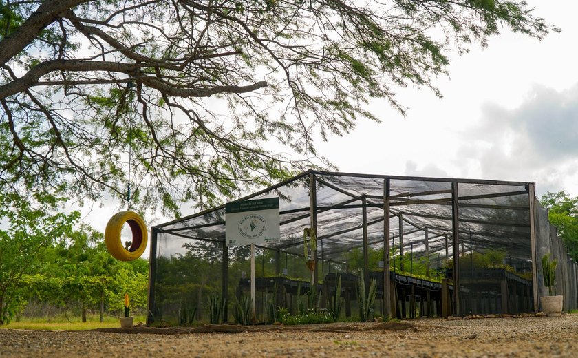 Unesco reconhece MVV por trabalho de preservação da Caatinga
