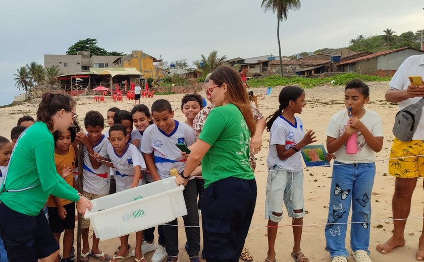 Vídeos: soltura de 142 filhotes de tartaruga-de-pente mobiliza comunidade em Riacho Doce