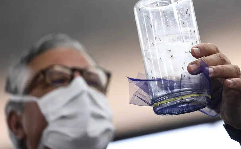 Fábrica de mosquitos oferece tecnologias para redução da dengue
