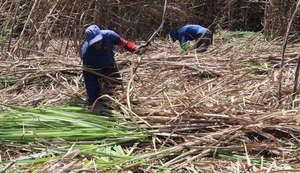 Alagoas tem duas mortes por mês em acidentes de trabalho