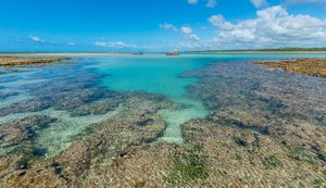 Praia de Alagoas é considerada uma das 100 melhores praias do mundo