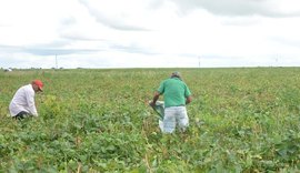 Lista negra: Prefeitura de Arapiraca não paga débito de mais de mil agricultores